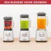 Magimix Blender Power 3 - Mat Chroom - soorten