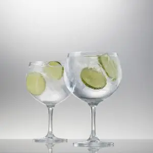 Schott Zwiesel Gin tonic recept